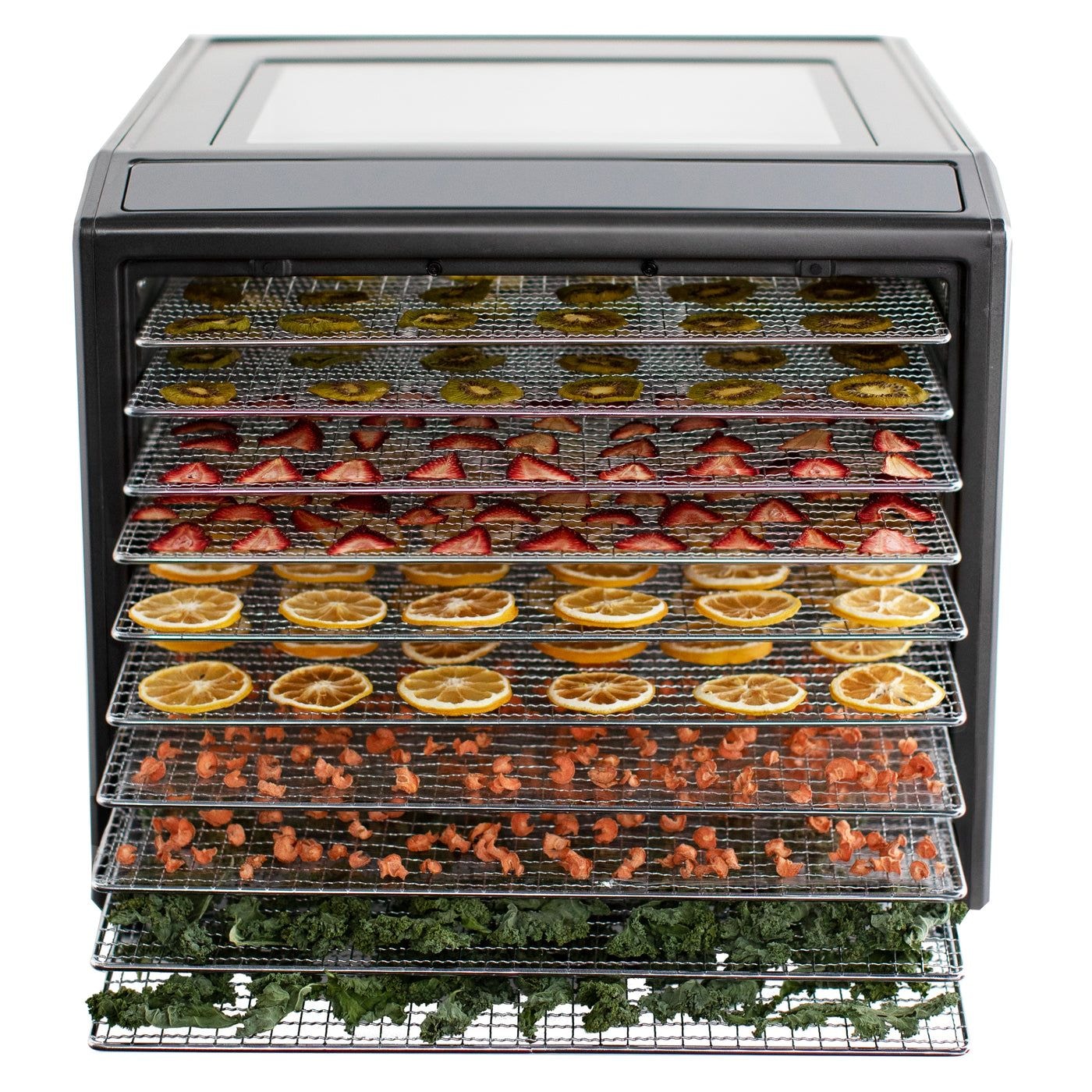 Performance Series 10-Tray Food Dehydrator, Steel, 700W, Stainless Steel, Black D0H6 - product image 4