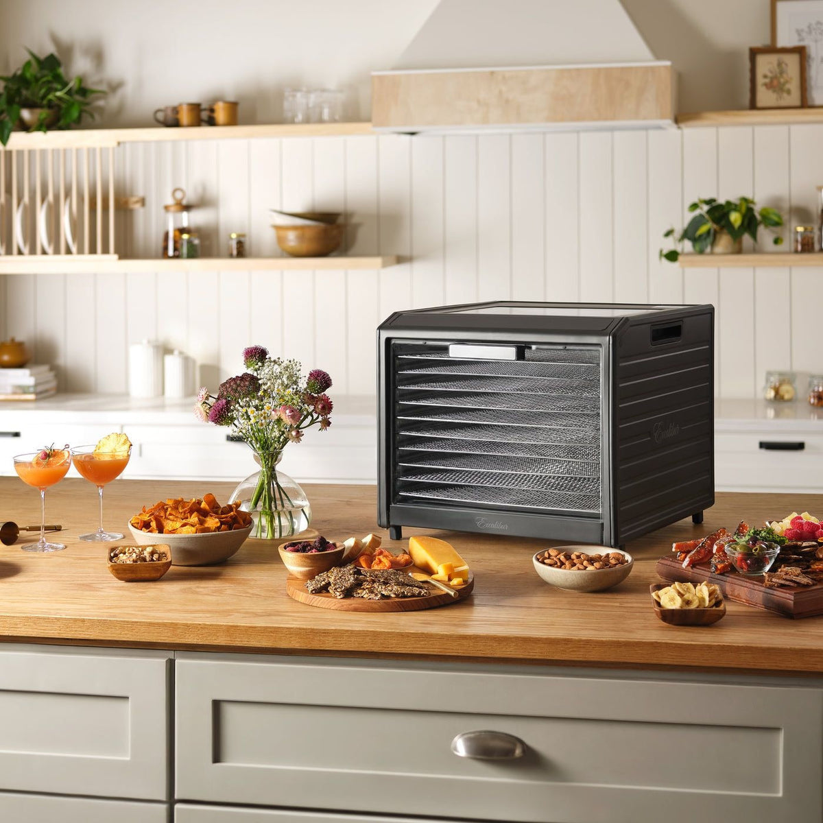 Performance Series 10-Tray Food Dehydrator, Steel, 700W, Stainless Steel, Black D0H6 - product image 8