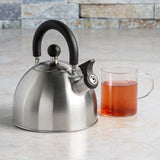 Stainless Steel Stovetop Kettle, 1.4-L H0J1 - product image 4