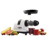 Horizontal Slow Juicer, 150W, 4 Cups T4W2 - product image 4