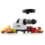 Horizontal Slow Juicer, 150W, 4 Cups T4W2 - product image 5